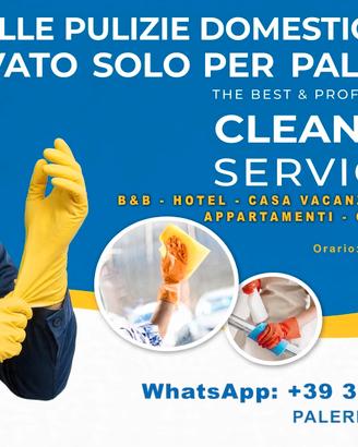 addetto alle pulizie e domestiche 