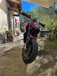 Mv augusta rivale 800