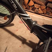 bici pedalata assistita