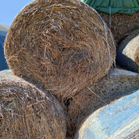 Paglia di grano e di favino