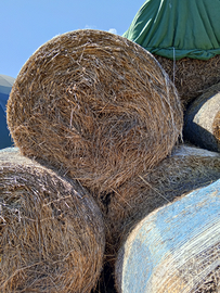 Paglia di grano e di favino