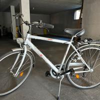 City bike Stella Veneta