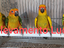 Immagine 4