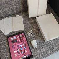 Apple iPad 9th come nuovo