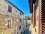 Immagine 14