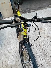 bicicletta 