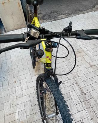 bicicletta 