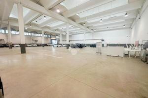 CAPANNONE A PESCHIERA BORROMEO