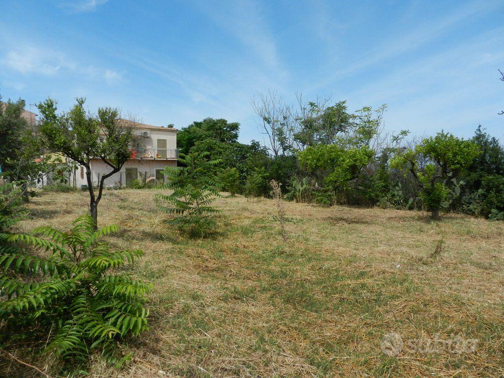 Terreno Residenziale Santa Maria del Cedro - Vista 2