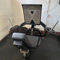 Leg Press Professionale V3ERRE perfette condizioni
