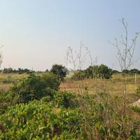 TER. AGRICOLO A GALLIPOLI