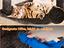 Immagine 5