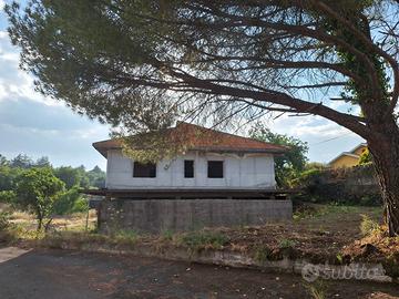 Rif. 972 struttura con terreno
