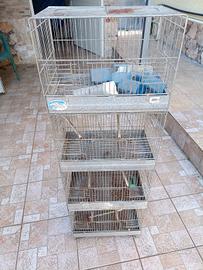 gabbia per  uccelli cova