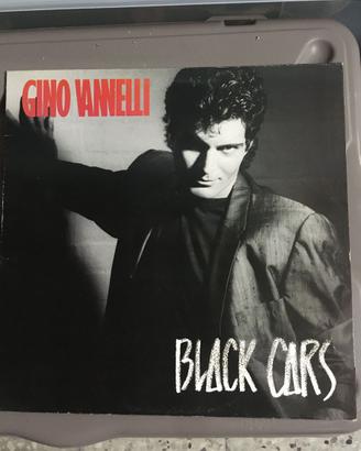 lp vinili