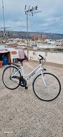 2 Bici da città
