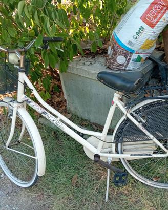 Biciclette varie