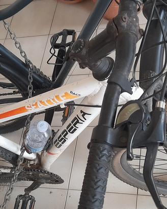MTB 29