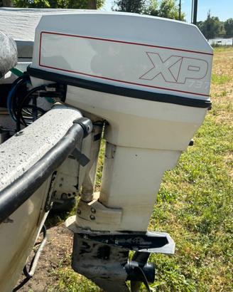 Motore Evinrude 737