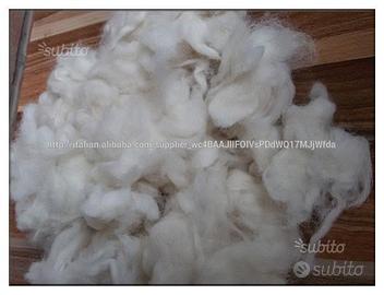 Lana di pecora