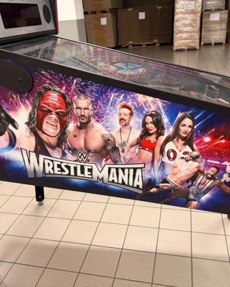 FLIPPER WRESTLEMANIA
