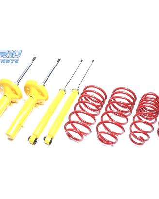 SOSPENSIONE SPORTIVA RENAULT CLIO 1998-2004 40/40m