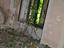Immagine 13