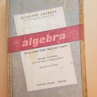 Libro algebra Zwirner, vol 2