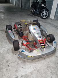 kart intrepid 100 