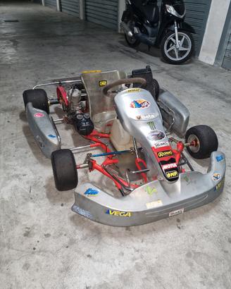 kart intrepid 100 