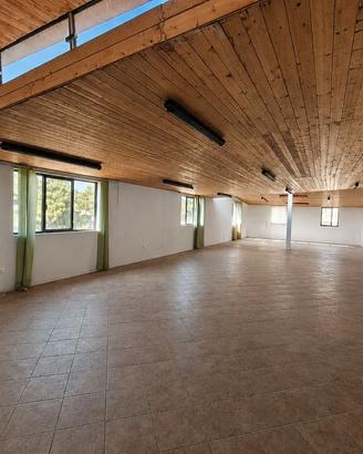 Ampio ufficio con terrazza Piano Tavola
