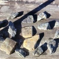 Acquario rocce pietre acqua dolce pesci tartarughe