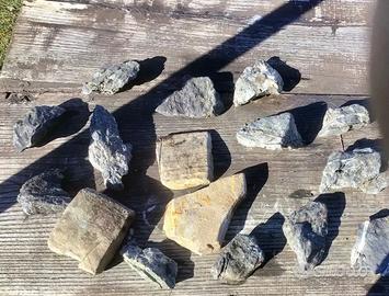 Acquario rocce pietre acqua dolce pesci tartarughe