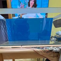 Vasca acquario extrachiaro