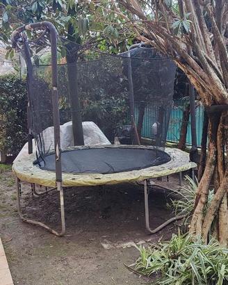 Trampolino elastico DOYMOS 240 e rete protezione