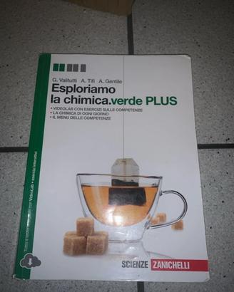 Libro esploriamo la chimica verde PLUS