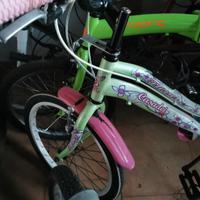 Bici