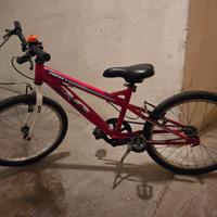 Bicicletta 20 pollici maschio/femmina