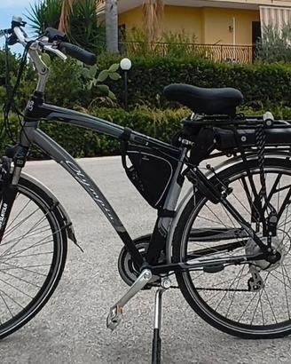 Bici Pedalata Assistita