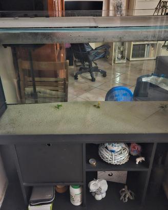 acquario 300 lt