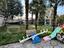 Immagine 29