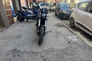 Benelli Leoncino 500 Scambler