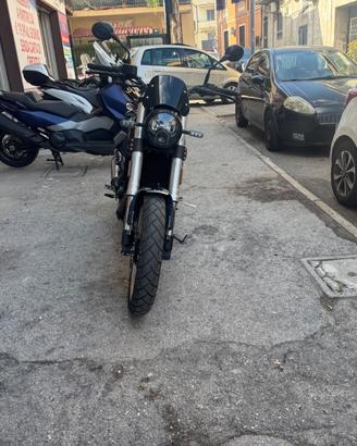 Benelli Leoncino 500 Scambler