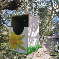 casetta per uccellini 