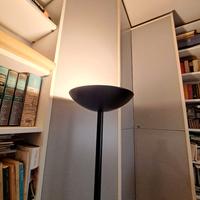 Lampada  piantana da terra