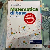 Libro matematica università