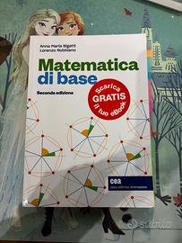 Libro matematica università