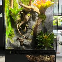 Terrario teca  30 × 30 × 60