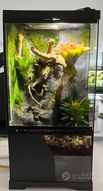 Terrario teca  30 × 30 × 60