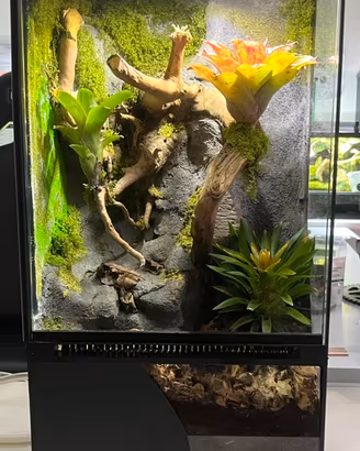 Terrario teca  30 × 30 × 60